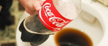 coca_toillet