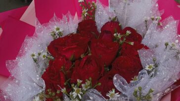 Bouquet de roses rouges posé sur une table claire, illustrant le langage des fleurs et les quiz amoureux