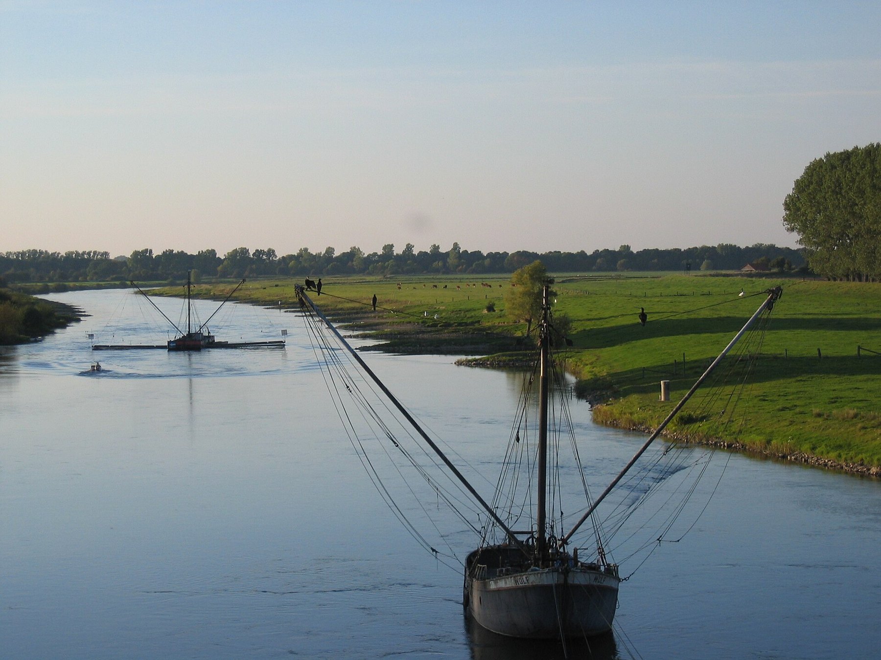 Dauphin de l'Irrawaddy émergeant des eaux brunes du Mékong au Cambodge, espèce menacée en voie de rétablissement