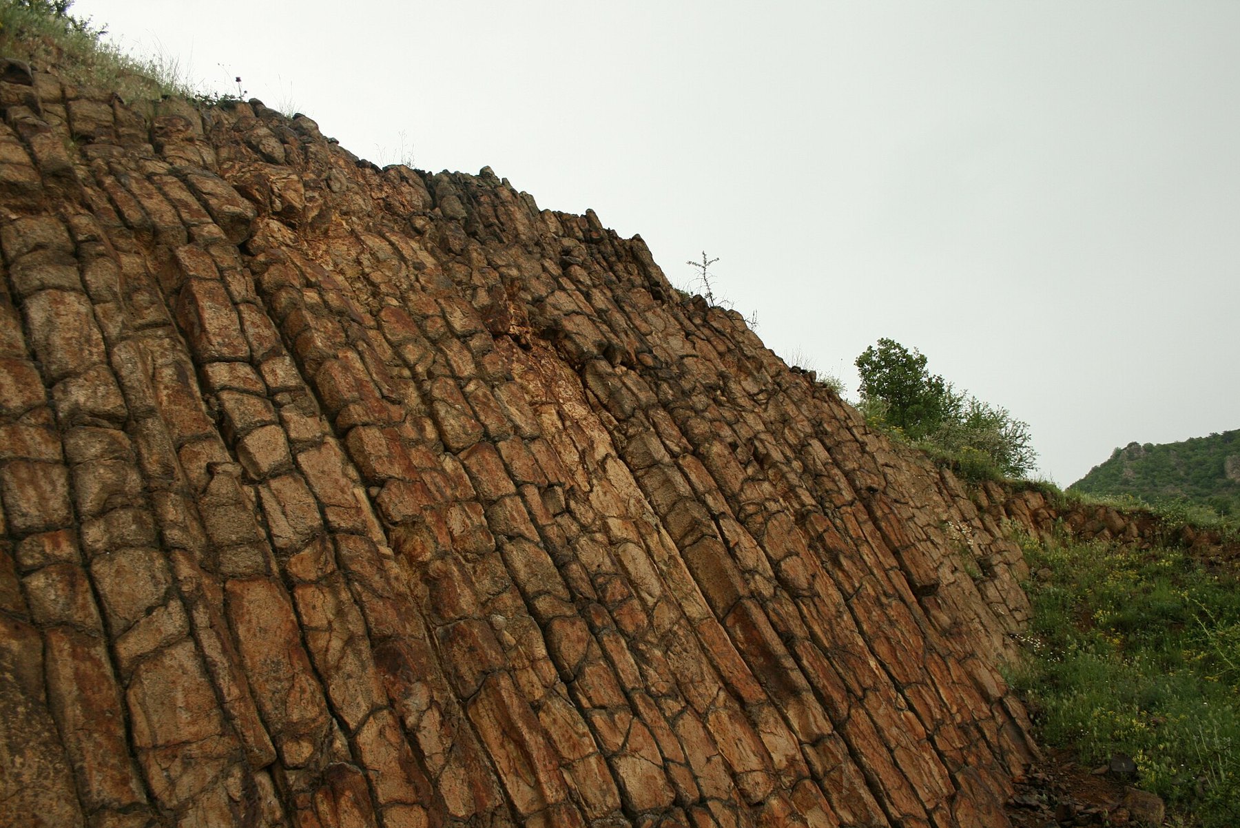 Paroi verticale de colonnes de basalte serrées au milieu d'une forêt de montagne tropicale