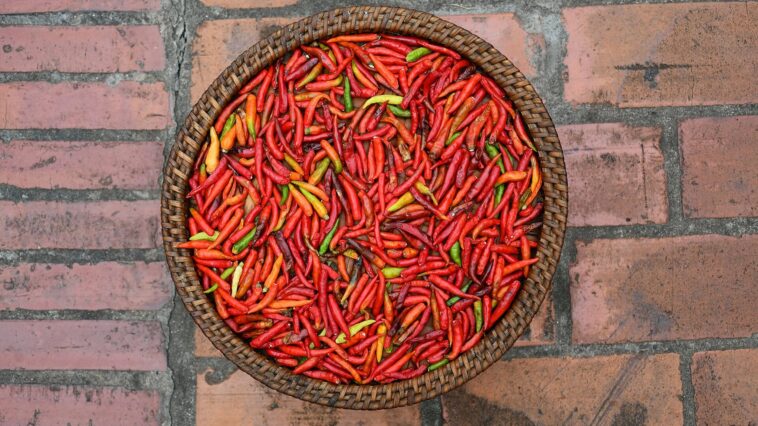 Panier de légumes frais posé sur une table en bois, à côté d'une assiette de viande grillée